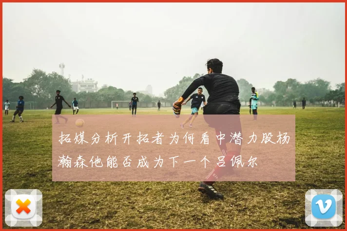 拓媒分析开拓者为何看中潜力股杨瀚森他能否成为下一个吕佩尔