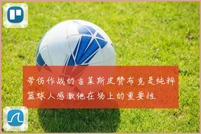 带伤作战的吉莱斯皮赞布克是纯粹篮球人感激他在场上的重要性